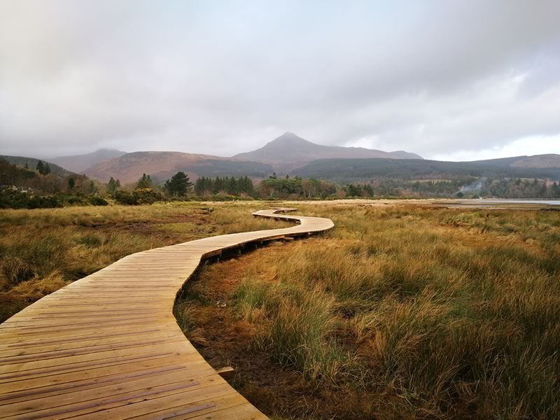 Shell Arran Development Arran Development Accounts 2023
